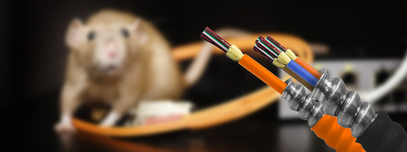 MC Cable and BX Cable: What Is It?