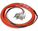 LC UPC 12 Fiber OM1 Multimode Pigtail, Jacketed, 3M